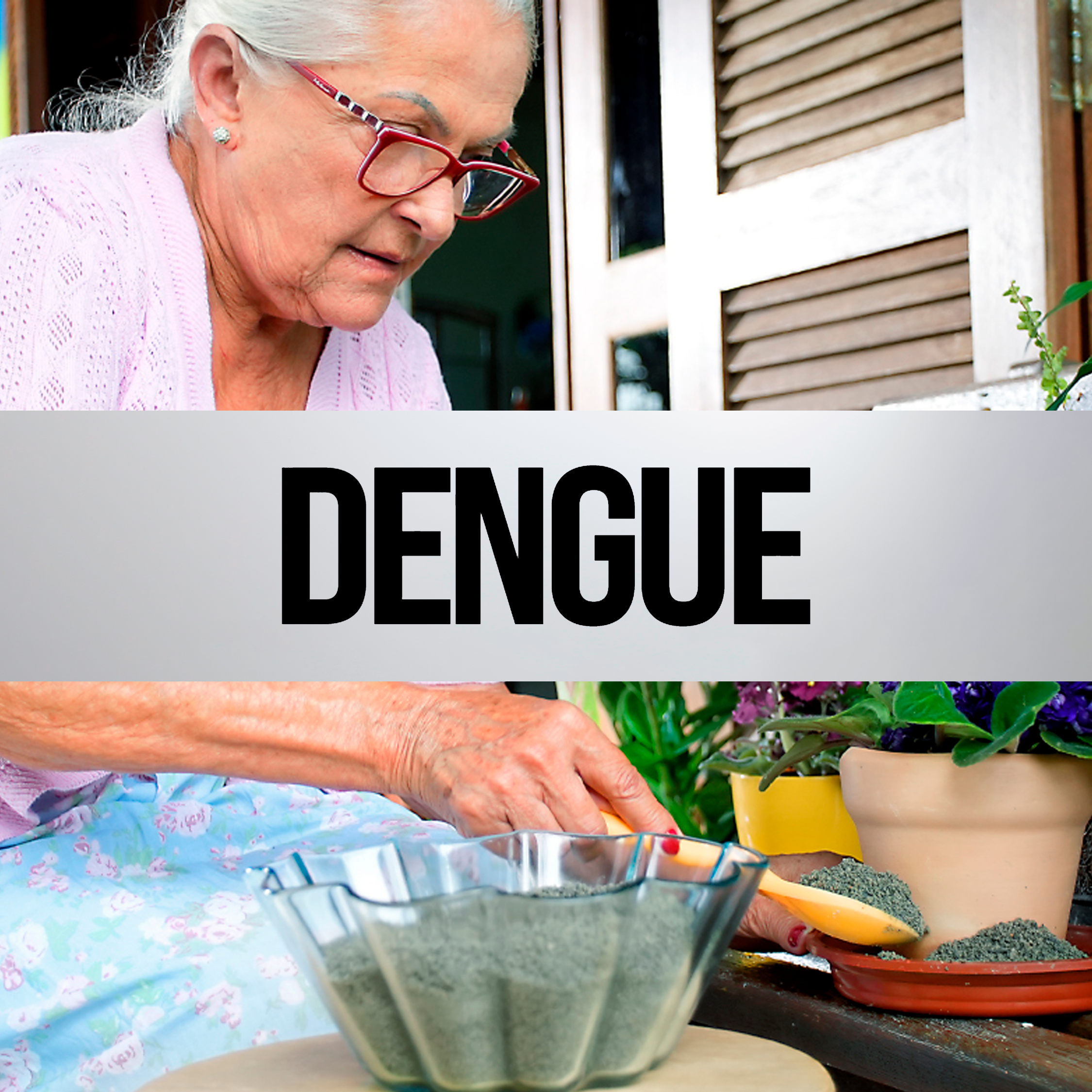 Campanha-Dengue-2023-Capa-Destaque.png