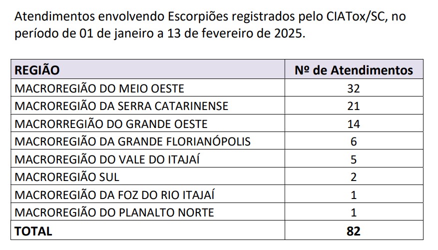 Captura de tela 2025 02 17 152624