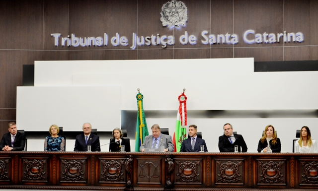 texto ministra