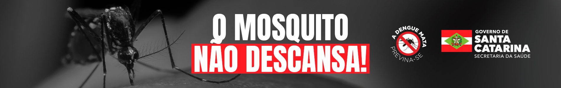 BANNER FULL - DENGUE - SERVIÇO