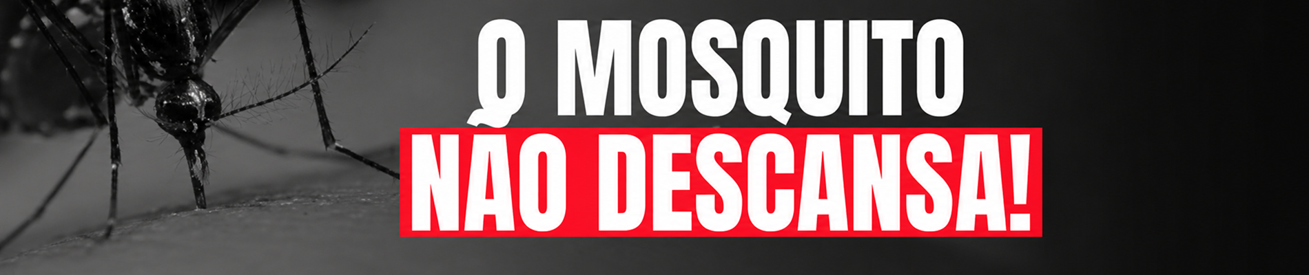 BANNER HOME - DENGUE - FULL BANNER