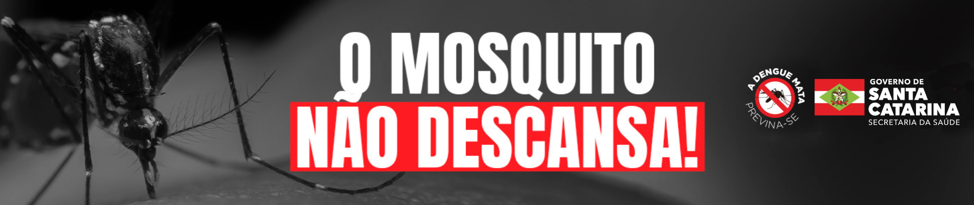 BANNER HOME - DENGUE - FULL BANNER