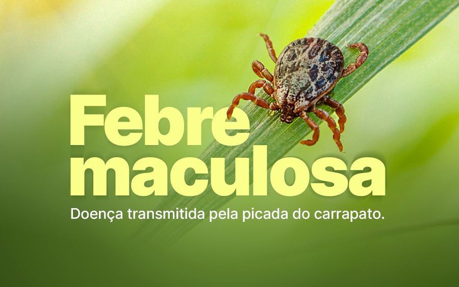 Carrapato sobre uma folha verde com texto 'Febre maculosa - Doença transmitida pela picada do carrapato'. Imagem de campanha informativa sobre a febre maculosa.