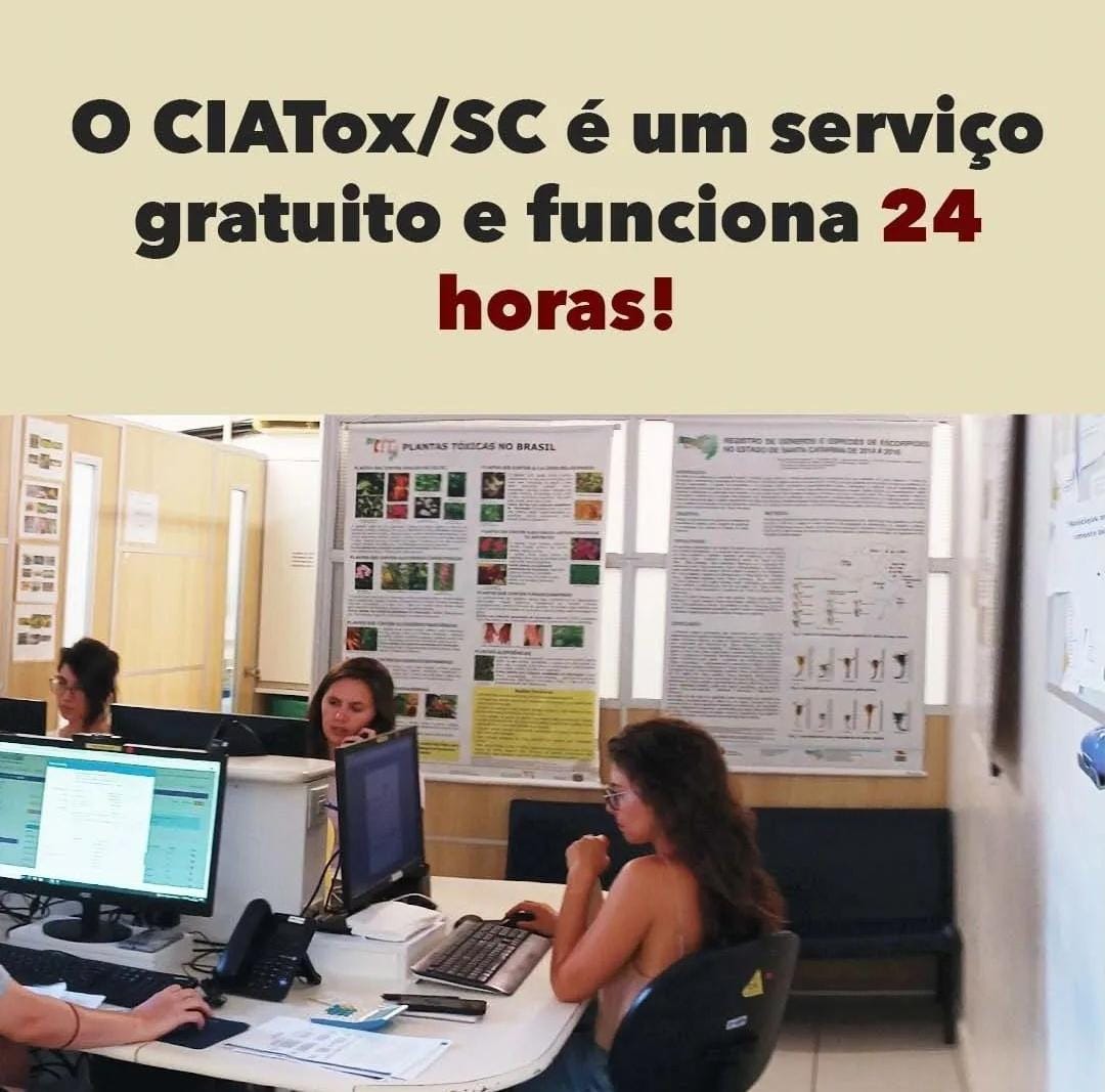 A imagem mostra um ambiente de escritório com três mulheres trabalhando em computadores, provavelmente atendendo ligações ou registros relacionados ao serviço. No topo, há um texto em destaque:  "O CIATox/SC é um serviço gratuito e funciona 24 horas!"  Ao fundo, vê-se um painel com cartazes informativos, incluindo um sobre “Plantas Tóxicas no Brasil” e outro com gráficos e dados técnicos, possivelmente relacionados a casos de intoxicação. O cenário indica que se trata de um centro de atendimento especializado em toxicologia, disponível para a população de forma contínua.