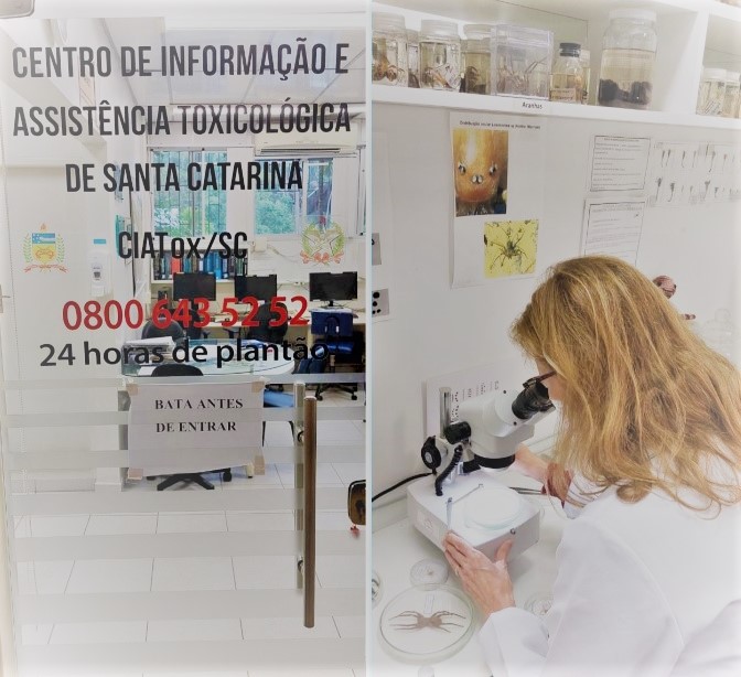 Composição com porta de vidro identificando o CIATox de Santa Catarina e, ao lado, profissional de jaleco analisando espécime em microscópio em laboratório com amostras biológicas.