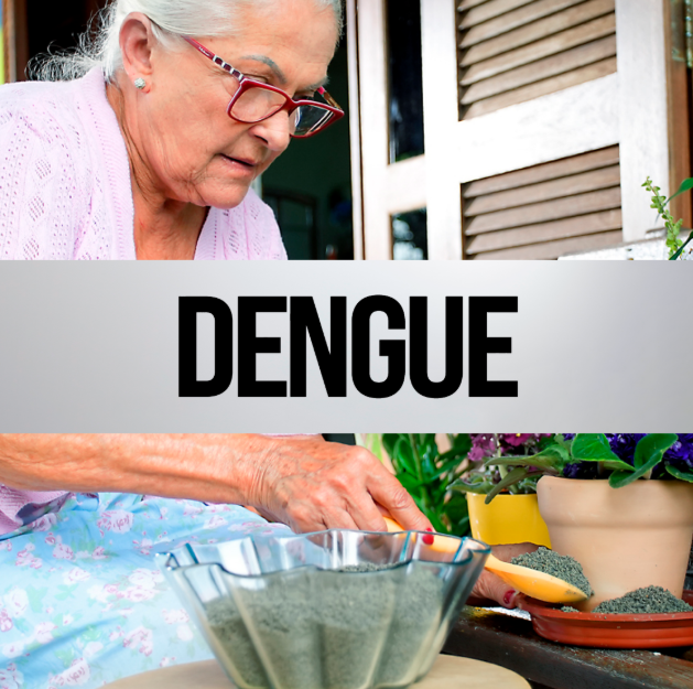 Mulher idosa colocando areia em pratos de vasos de plantas para evitar o acúmulo de água, com a palavra "DENGUE" em destaque no centro da imagem.
