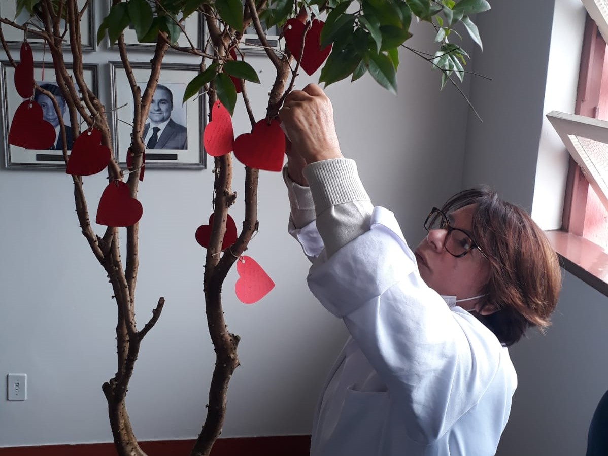 Mulher de cabelos castanhos e curtos, usando jaleco branco e óculos, pendura corações de papel vermelho em uma árvore de galhos finos e folhas verdes. Ao fundo, há uma parede com retratos emoldurados de ex-diretores e uma janela com estrutura geométrica que permite a entrada de luz natural.