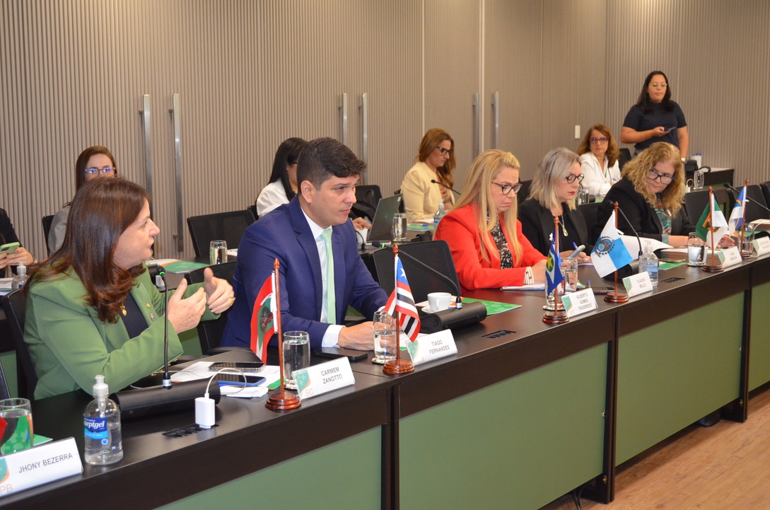 Sala de reunião com várias autoridades sentadas em uma mesa retangular, cada uma com identificação nominal, microfone e bandeira estadual. A deputada Carmen Zanotto aparece em destaque à esquerda, dialogando com Tiago Fernandes. Outros participantes tomam notas e acompanham a discussão. Ambiente formal, com iluminação clara e painel ripado ao fundo.