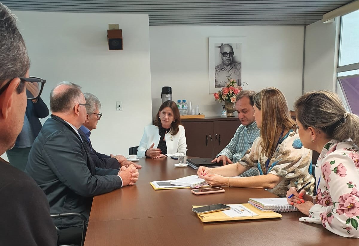 Reunião com sete pessoas sentadas ao redor de uma mesa de madeira em ambiente corporativo. Ao fundo, uma mulher de blazer branco fala enquanto os demais escutam. Sobre a mesa, há cadernos, pastas, celulares, copos de água e documentos. Na parede, um retrato em preto e branco e um arranjo de flores estão sobre um armário.