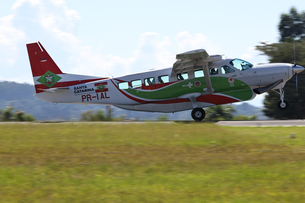 WOLF1068 XL 1