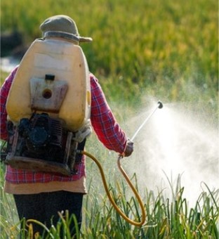agrotoxico