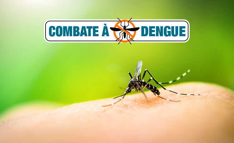 combate a dengue