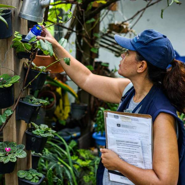 Dia D do combate à dengue: Secretaria de Estado da Saúde recomenda ações aos municípios