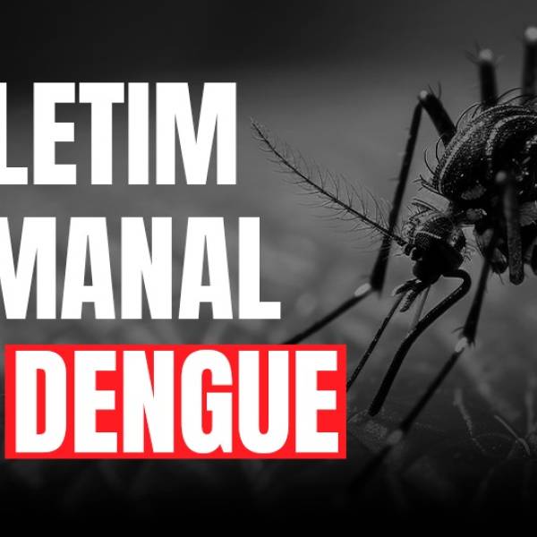 Dengue SC: Informe Epidemiológico apresenta número de casos prováveis de doença e situação segue em alerta