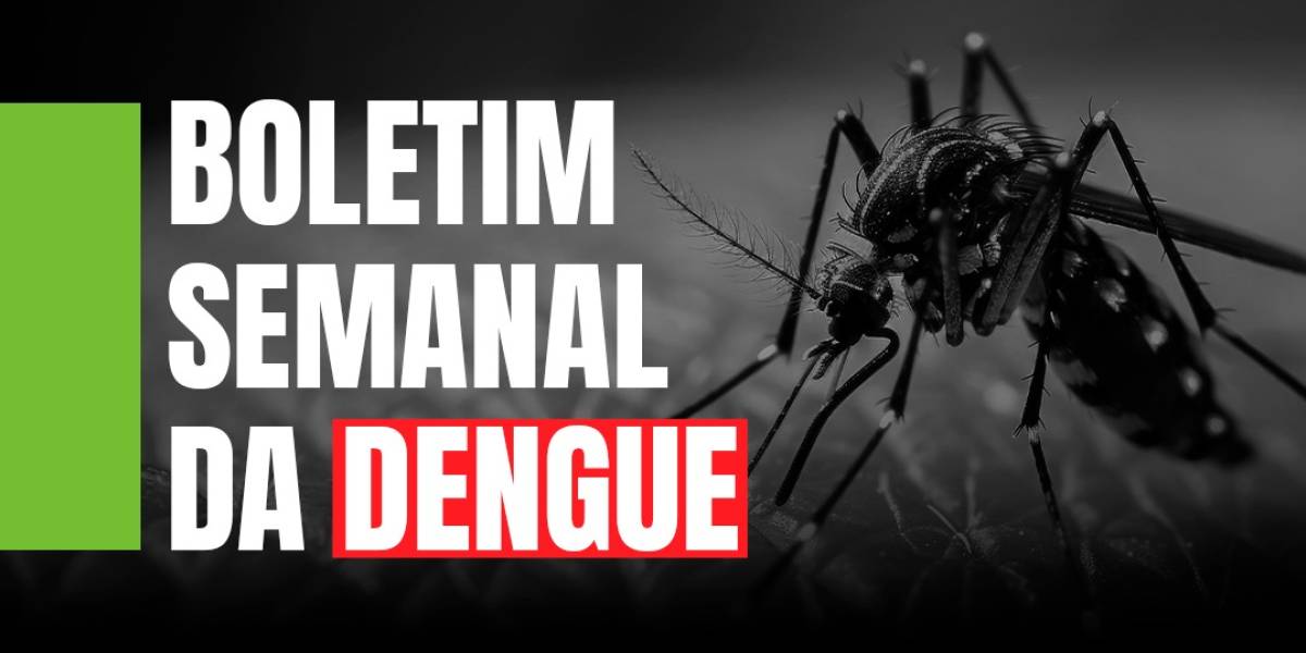 Dengue SC: Informe Epidemiológico apresenta número de casos prováveis de doença e situação segue em alerta