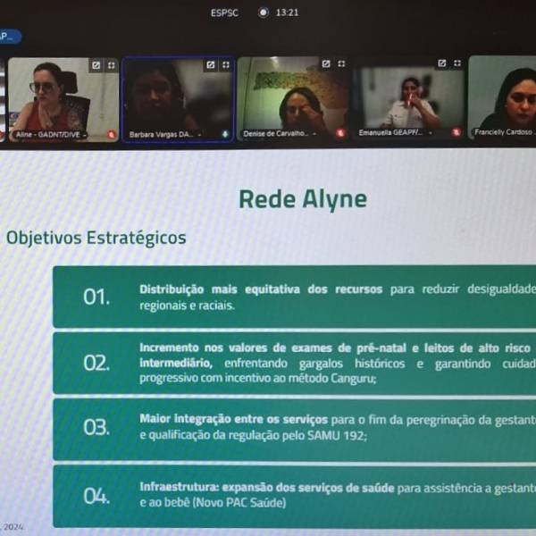 Grupo Condutor Estadual da Rede Materno-Infantil - Rede Alyne se reune para elaborar novo modelo de assistência em SC