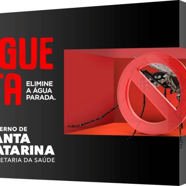 Santa Catarina registra duas mortes por dengue em 2025