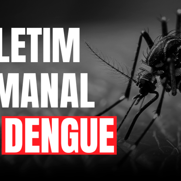 Dengue SC: Informe Epidemiológico traz dois primeiros óbitos por dengue e um em investigação 