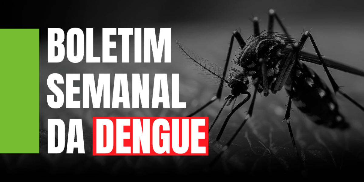 Dengue SC: Informe Epidemiológico traz dois primeiros óbitos por dengue e um em investigação 