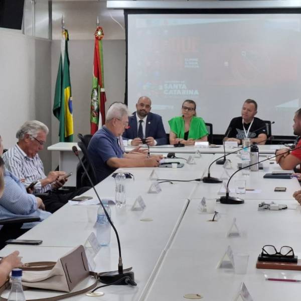 Conselho Estadual de Saúde de Santa Catarina discute ações de prevenção à Dengue e outras pautas 