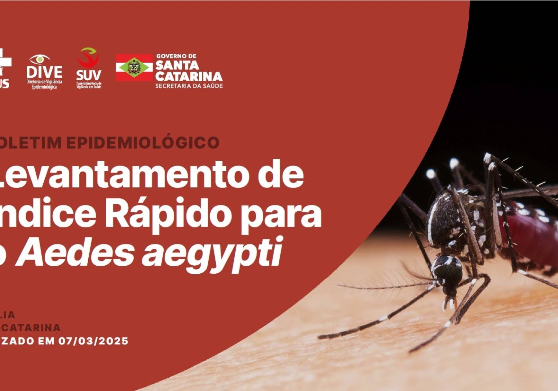 Dengue SC: Estado apresenta Levantamento de Índice Rápido para o Aedes aegypti