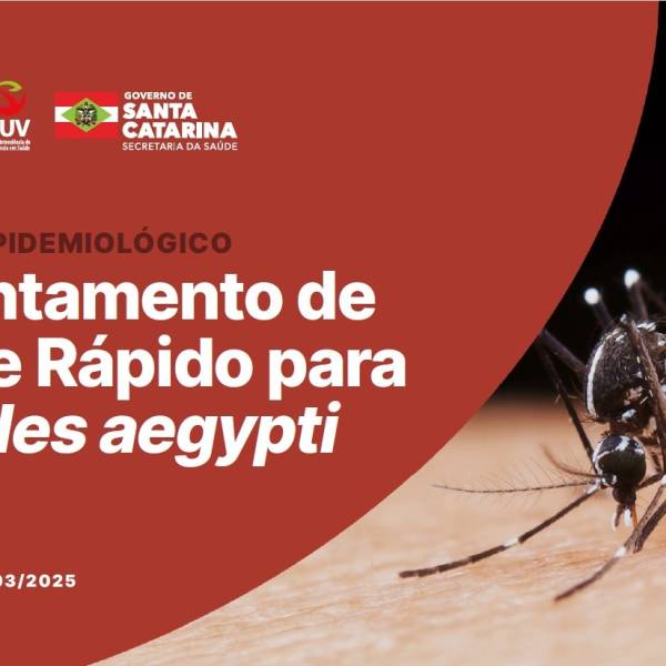 Dengue SC: Estado apresenta Levantamento de Índice Rápido para o Aedes aegypti