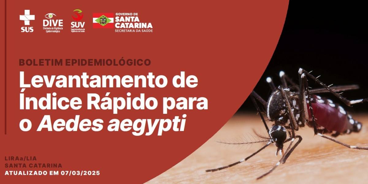 Dengue SC: Estado apresenta Levantamento de Índice Rápido para o Aedes aegypti