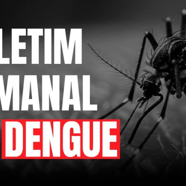 Dengue SC: Informe Epidemiológico apresenta três mortes por dengue e duas por chikungunya no estado