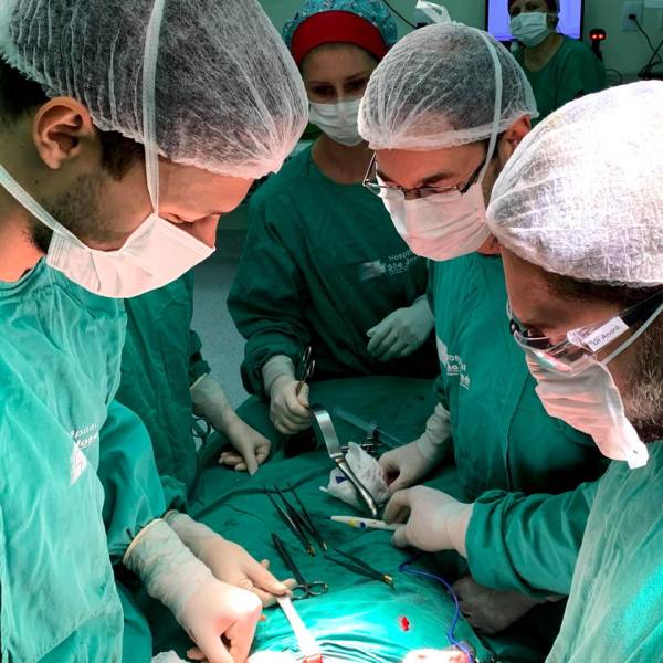 Vidas renovadas: Hospital São José atinge a marca de 100 transplantes renais