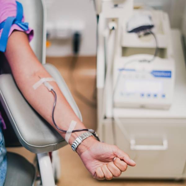 Junho Vermelho: HEMOSC promove ações e homenagens no mês de conscientização da doação de sangue