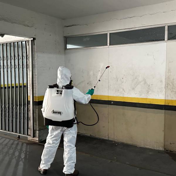 Saúde Estadual realiza aplicação de inseticida nos seus prédios para controle do mosquito Aedes aegypti