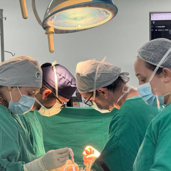 Mais de 50 pacientes pediátricos com escoliose são atendidos no Hospital Jeser Amarante Faria em Joinville