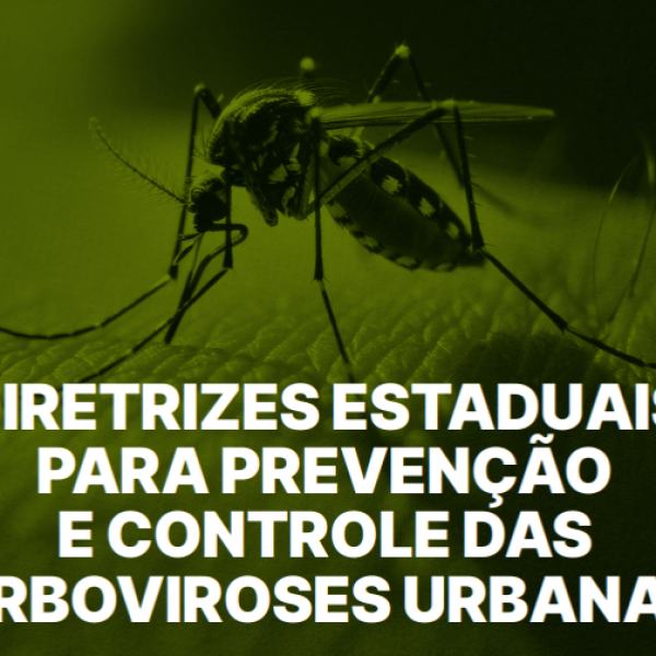 Dengue SC: Santa Catarina intensifica estratégias de combate ao Aedes aegypti com uso de novas tecnologias