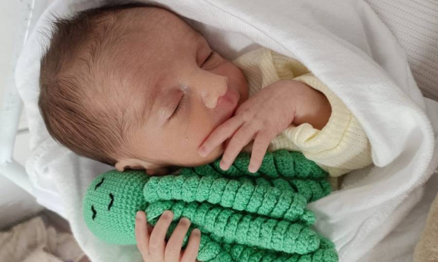 Polvo Terapêutico: um abraço de crochê que faz a diferença para bebês no Hospital Tereza Ramos em Lages