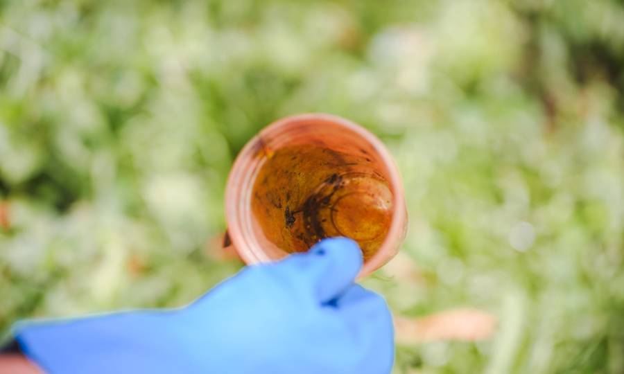 Dengue SC: Estado reforça intensificação das ações de prevenção no período sazonal de transmissão