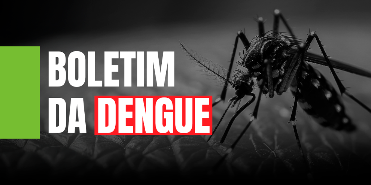 Dengue SC: Saúde registra mais de 58 mil focos do mosquito Aedes aegypti até início de novembro