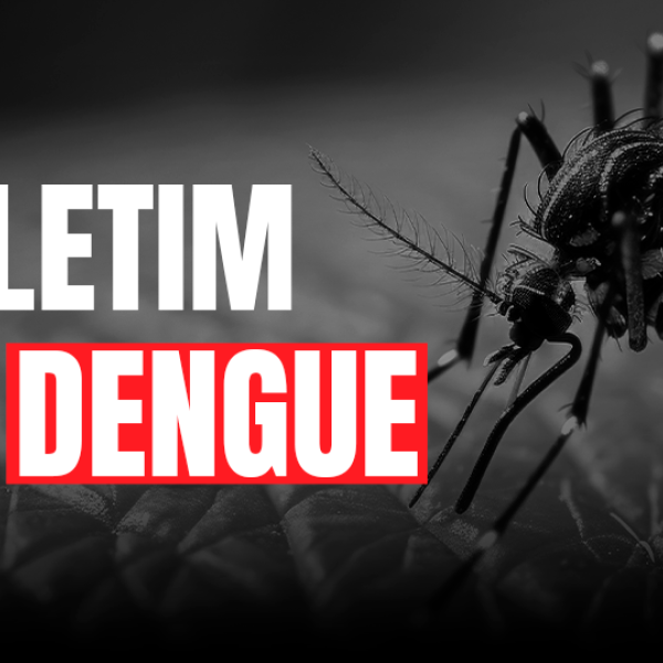Dengue SC: Saúde registra mais de 58 mil focos do mosquito Aedes aegypti até início de novembro