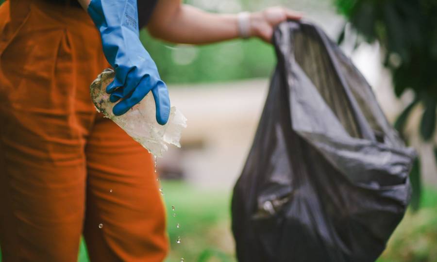 Dengue SC: Santa Catarina realiza dia D de mobilização neste sábado e ações seguem ao longo do mês