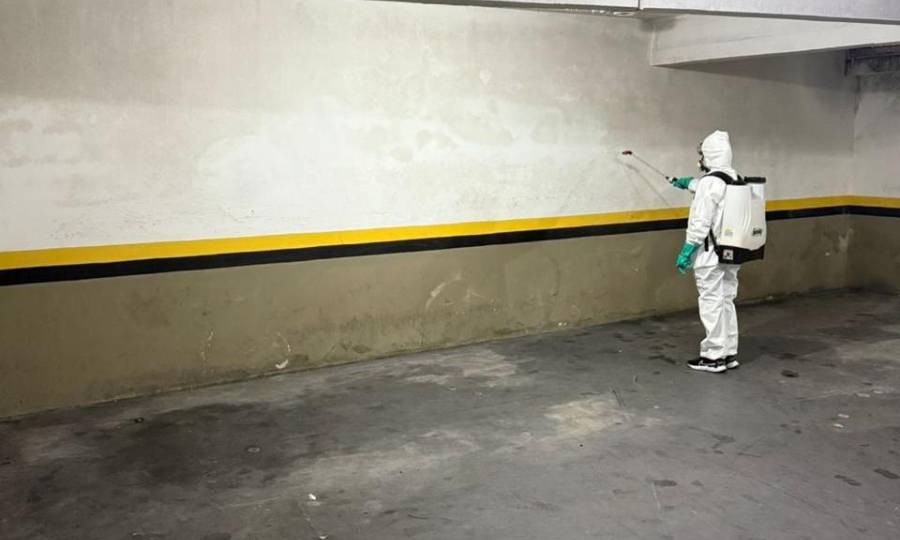 Dengue SC: Saúde realiza aplicação de inseticida nos prédios da SES e do LACEN para controle do mosquito Aedes aegypti