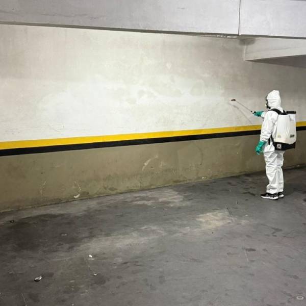 Dengue SC: Saúde realiza aplicação de inseticida nos prédios da SES e do LACEN para controle do mosquito Aedes aegypti