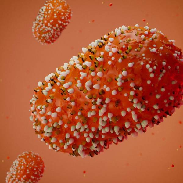 Santa Catarina reforça orientações sobre Mpox e afirma que não há motivo para alarme