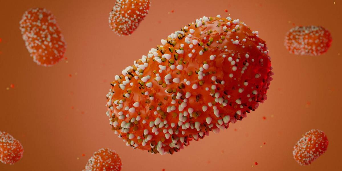 Santa Catarina reforça orientações sobre Mpox e afirma que não há motivo para alarme