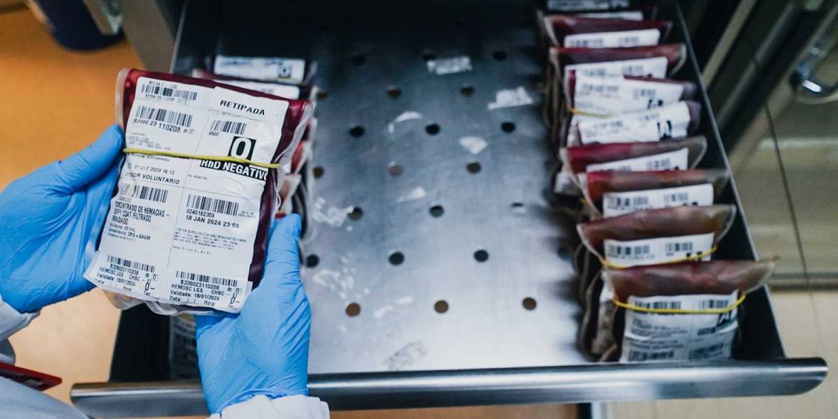 Hemosc destaca necessidade dos sangues A e O após queda nas doações