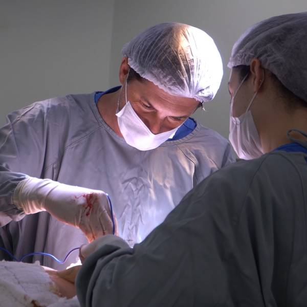IV Congresso do CEPON abre inscrições e submissão de trabalhos científicos