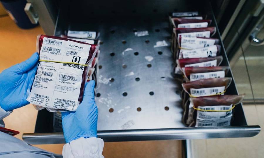 HEMOSC reforça necessidade do sangue O e A após queda de doações