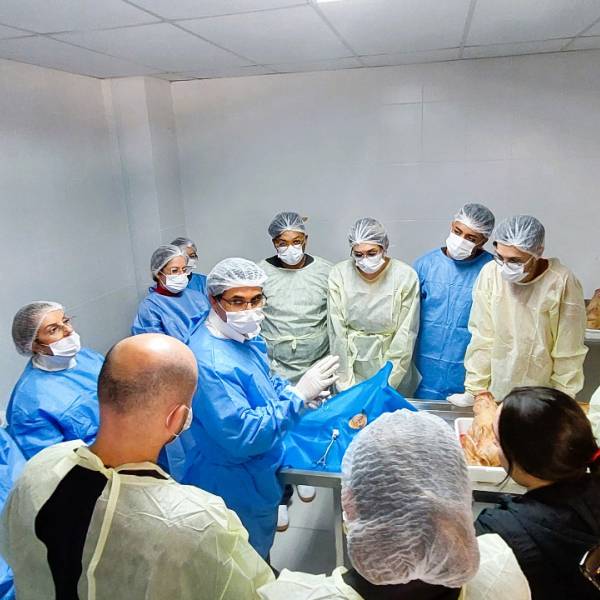 Santa Catarina realiza curso de Doação de Tecido Ocular com foco na fila zero de córneas