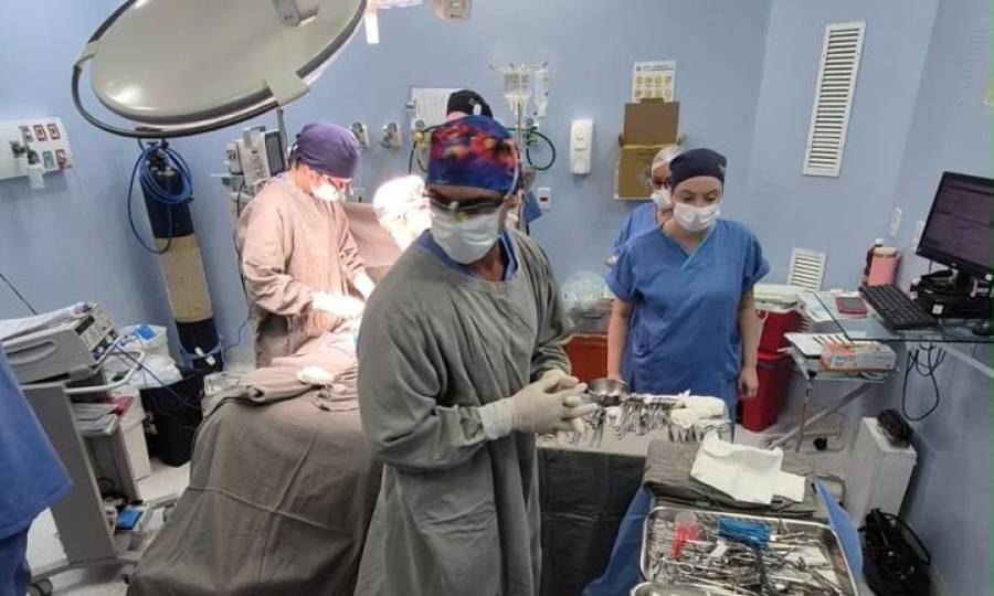 Hospital Materno-Infantil Santa Catarina retoma doação de órgãos após 8 anos